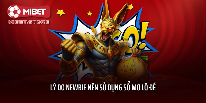 Lý do newbie nên sử dụng sổ mơ lô đề